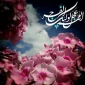 میلاد با سعادت حضرت مهدی موعود (عج) مبارک