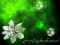 میلاد باسعادت مولی الموحدین ، حضرت علی (ع) مبارک باد.