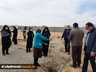 کاشت نهال به مناسبت روز درختکاری، با هدف نهادینه‌سازی «فرهنگ درختکاری» در دانشکده فنی و حرفه ای دختران شاهرود 2