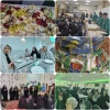 حضور دانشجویان دانشکده ملی مهارت دختران شاهرود در ویژه‌برنامه‌های فرهنگی حرم مطهر رضوی 2