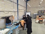 کنسرسیون اشتغال 10