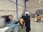 کنسرسیون اشتغال